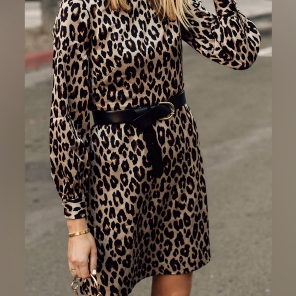 Ann Taylor leopard print dress